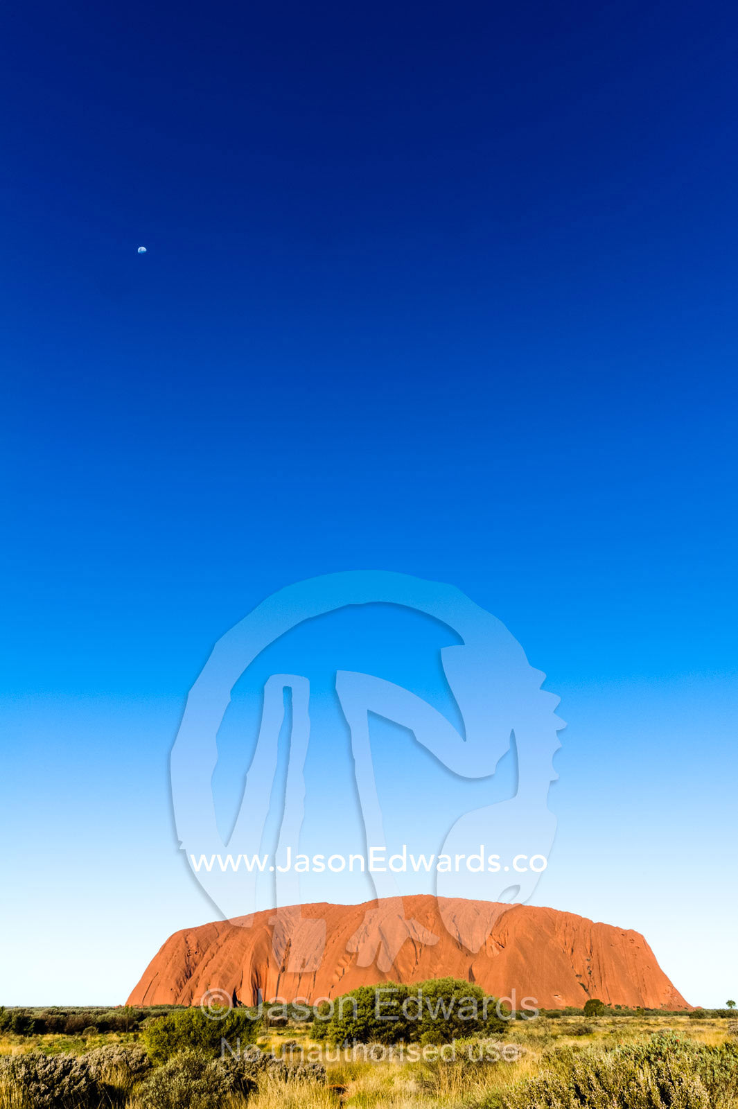 An enormous clear blue sky rises above the desert plain and Uluru. Uluru Kata Tjuta National Park, Northern Territory, Australia.