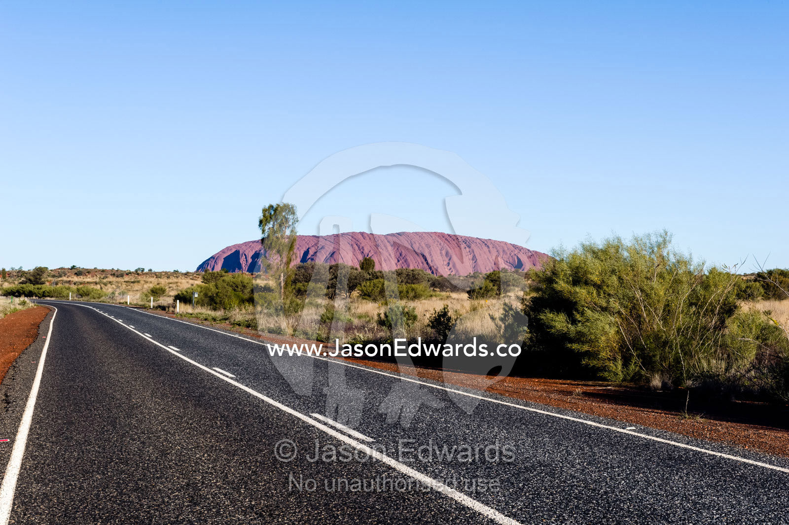 A bitumen road crosses the outback desert plain towards the dome of Uluru. Uluru Kata Tjuta National Park, Northern Territory, Australia.