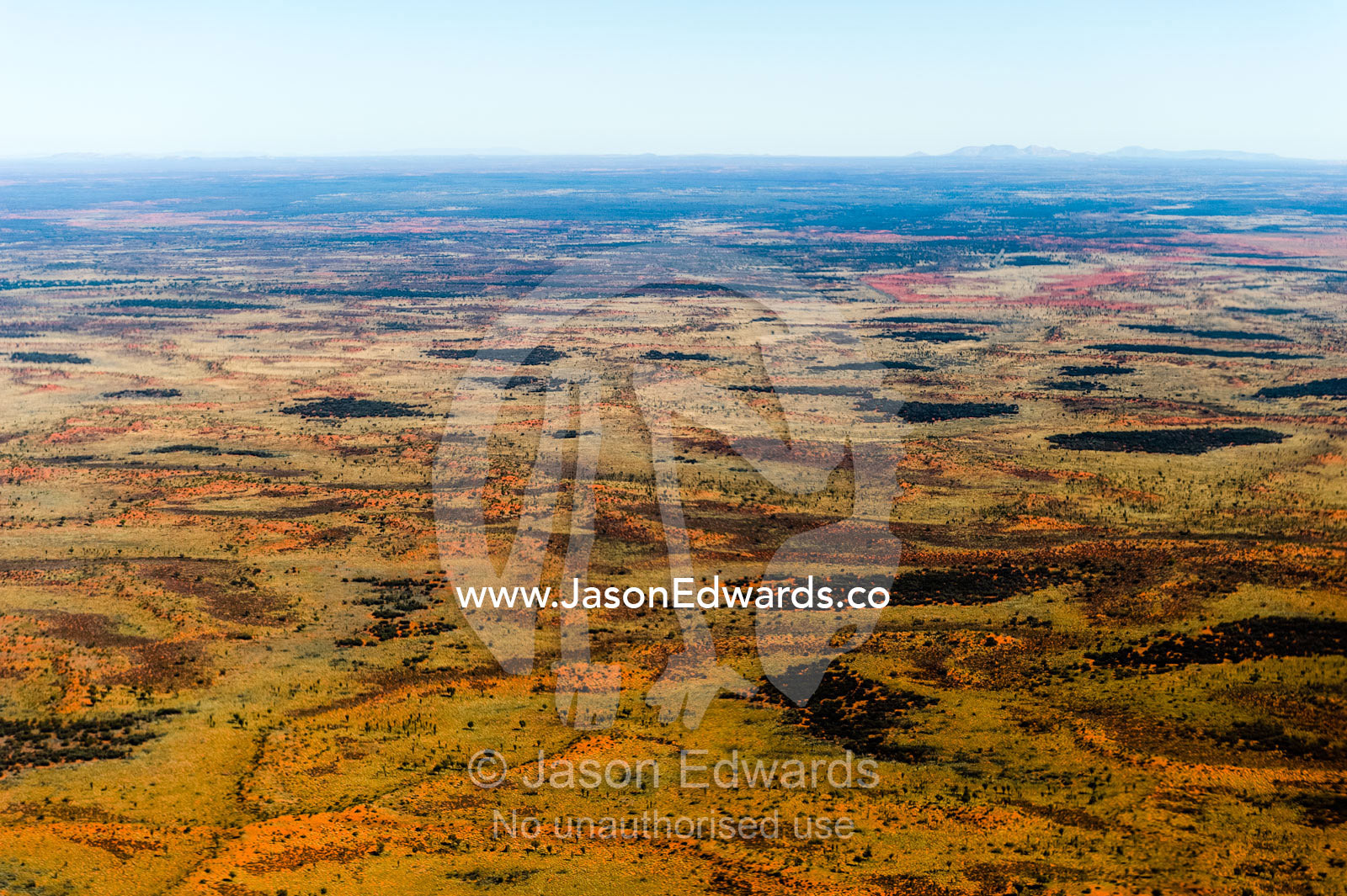 A mosaic of sand dunes and desert plants on a remote plain in Australia's arid outback. Uluru Kata Tjuta National Park, Northern Territory, Australia.