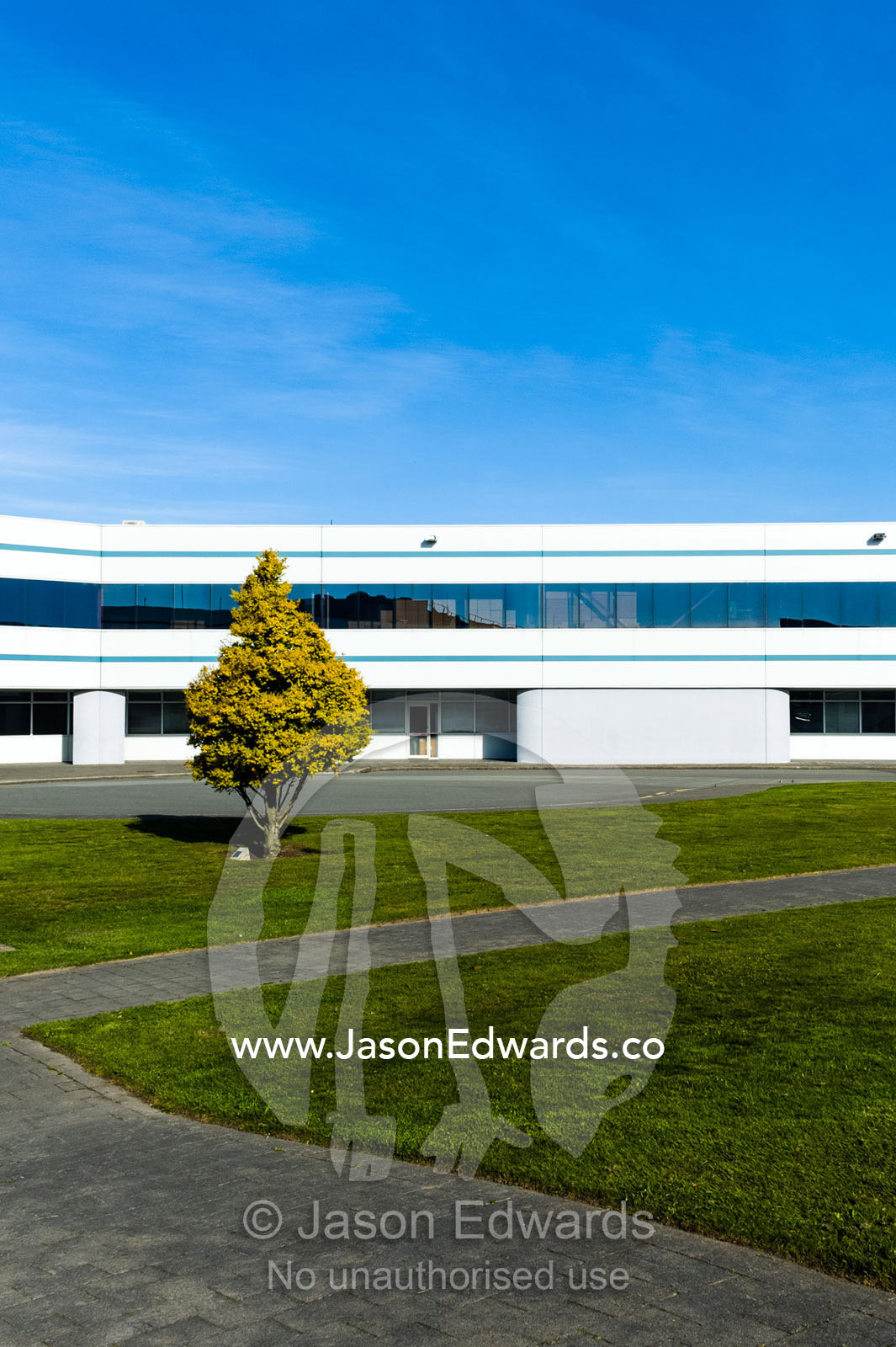 A lone tree in a manicured grass lawn surrounded by corporate offices. International Antarctic Centre, Harewood, Christchurch, South Island, New Zealand.