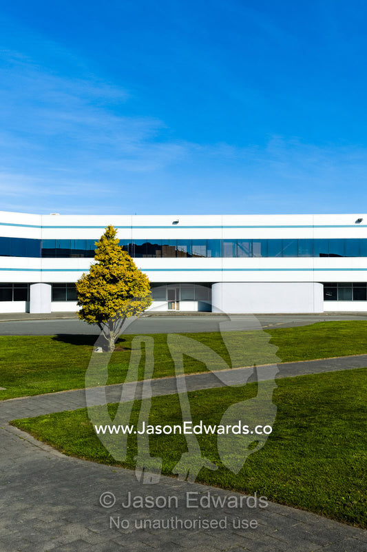 A lone tree in a manicured grass lawn surrounded by corporate offices. International Antarctic Centre, Harewood, Christchurch, South Island, New Zealand.