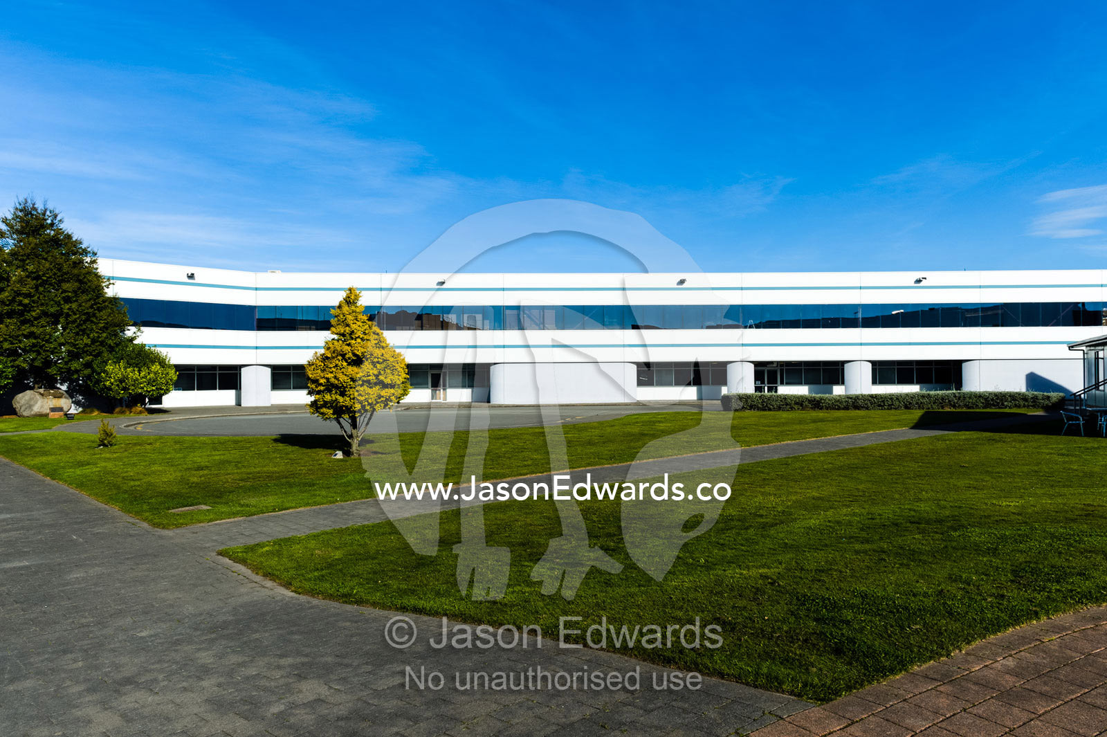 A lone tree in a manicured grass lawn surrounded by corporate offices. International Antarctic Centre, Harewood, Christchurch, South Island, New Zealand.