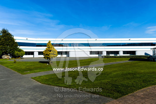 A lone tree in a manicured grass lawn surrounded by corporate offices. International Antarctic Centre, Harewood, Christchurch, South Island, New Zealand.
