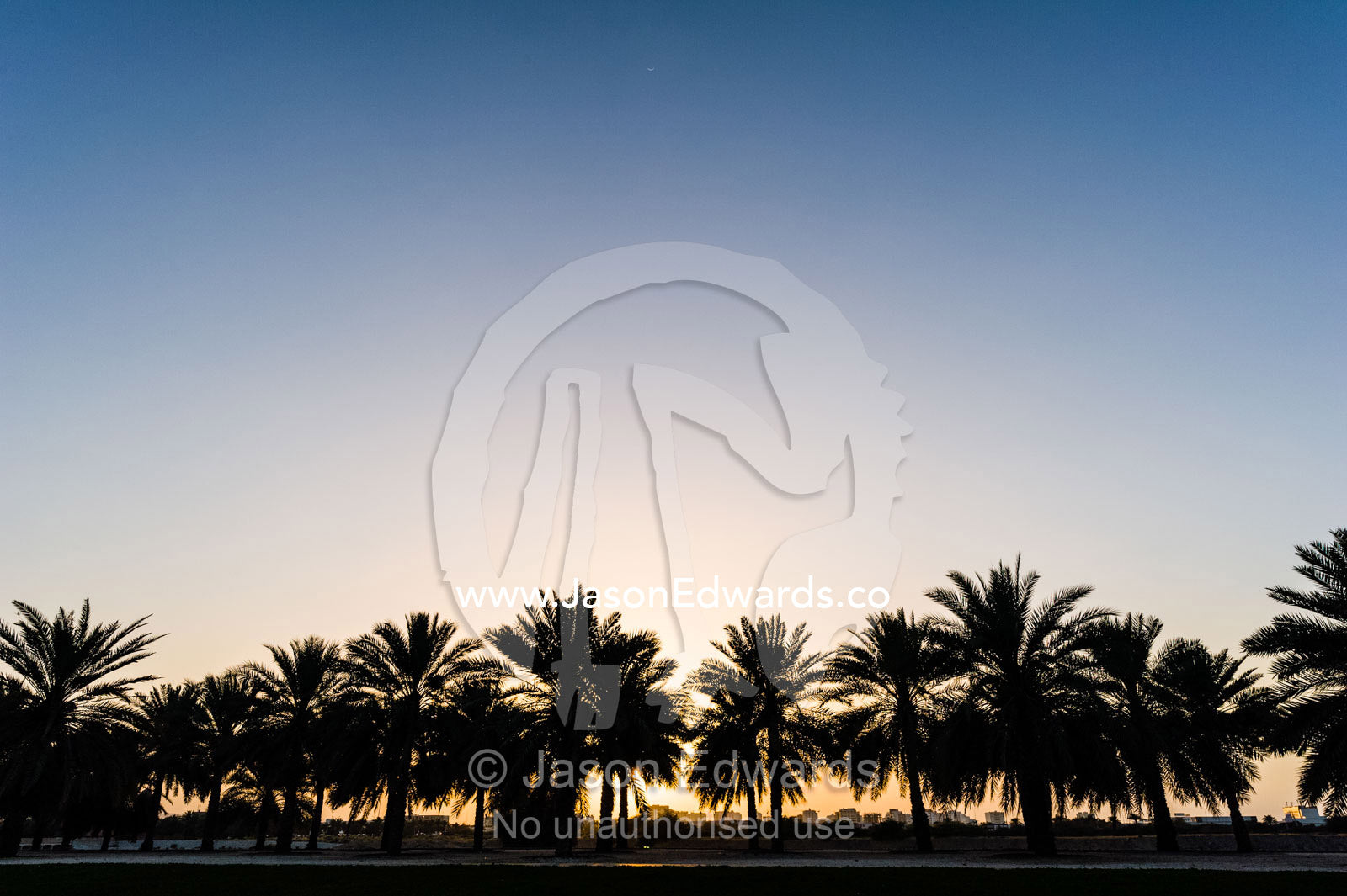 The silhouette of palm trees lining a boulevard at sunset. Sultan Qaboos Grand Mosque, Muscat, Sultanate of Oman.