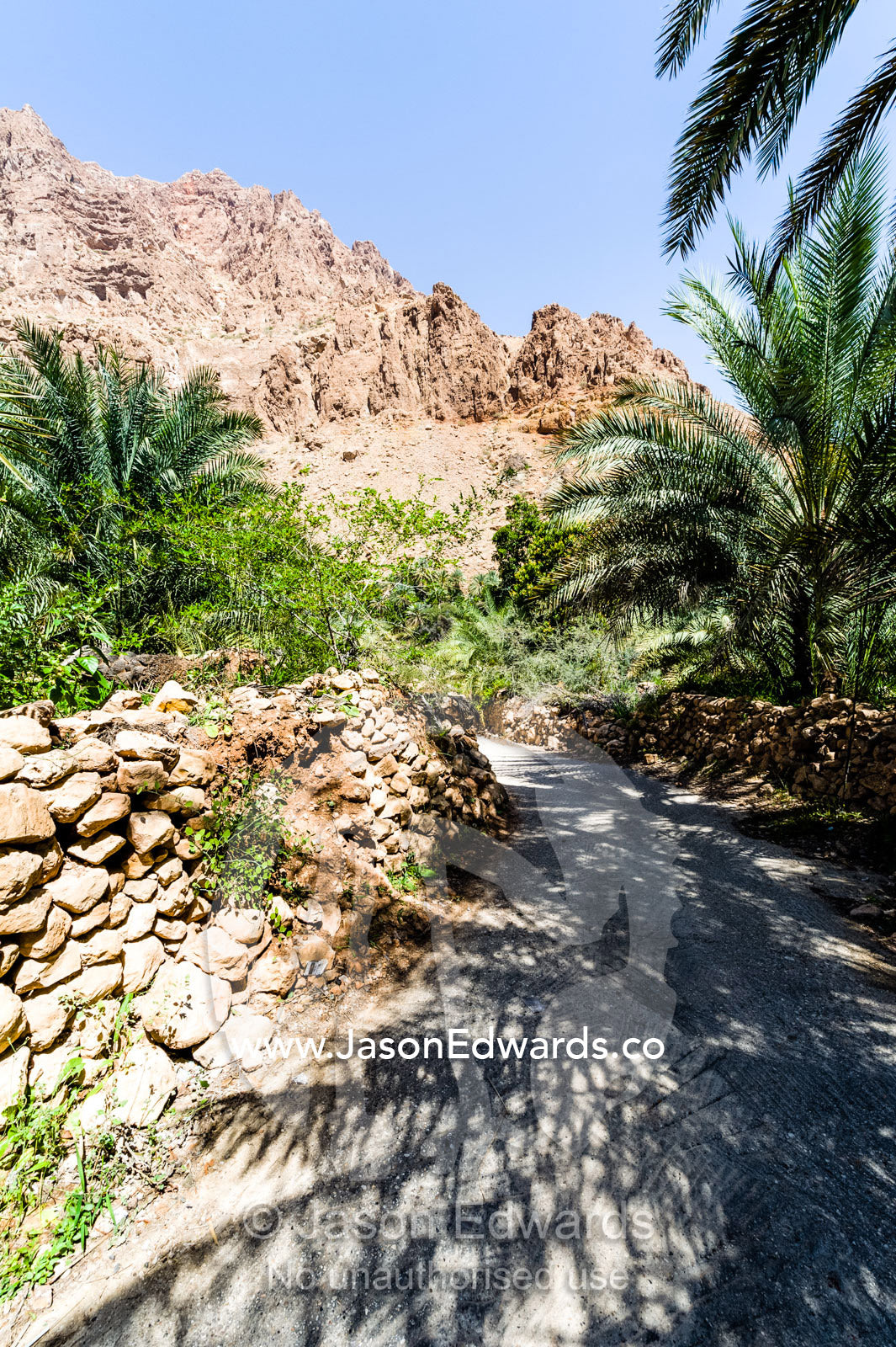 A path winds it's way past stone walls beneath palm trees in a mountain village. Mibam, Wadi Tiwi, Sur Al Sharqiyah South Governorate, Sultanate of Oman.