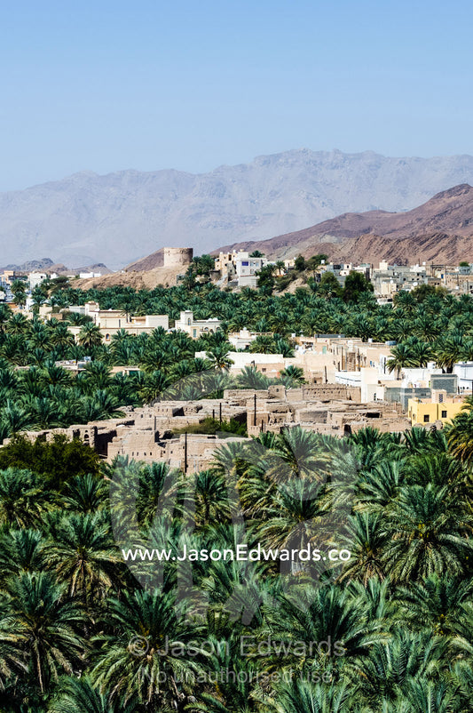 An ancient village surrounded by an irrigated plantation of date palms in a desert valley. Barkat Al Mouz, Sultanate of Oman.