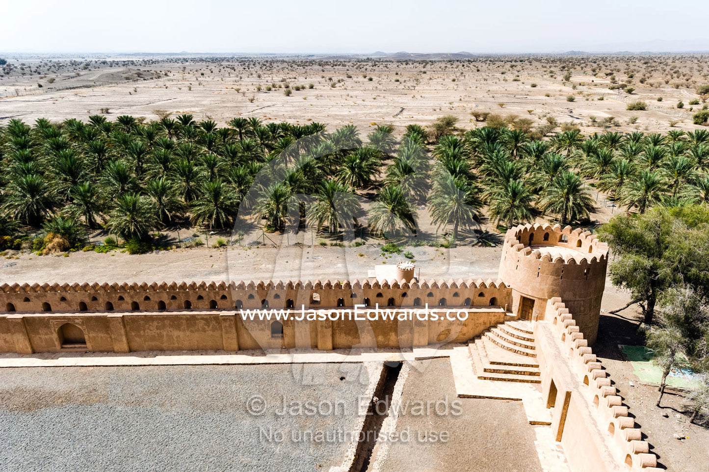 An irrigated plantation of date palms surrounding the fortified wall of Jabrin Fort. Jabrin Fort, Ad Dakhiliyah Governorate, Sultanate of Oman.