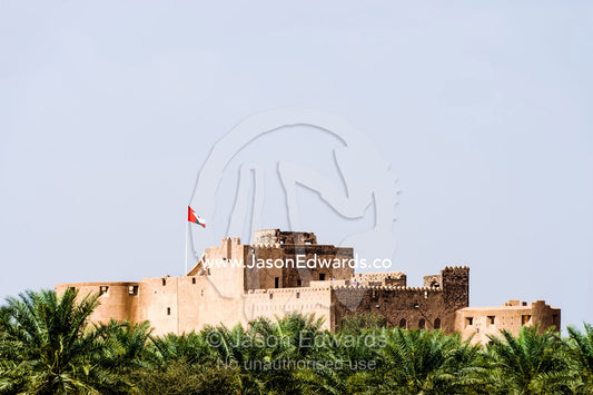 The fortified ramparts of Jabrin Fort tower above a Date Palm plantation. Jabrin Fort, Ad Dakhiliyah Governorate, Sultanate of Oman.