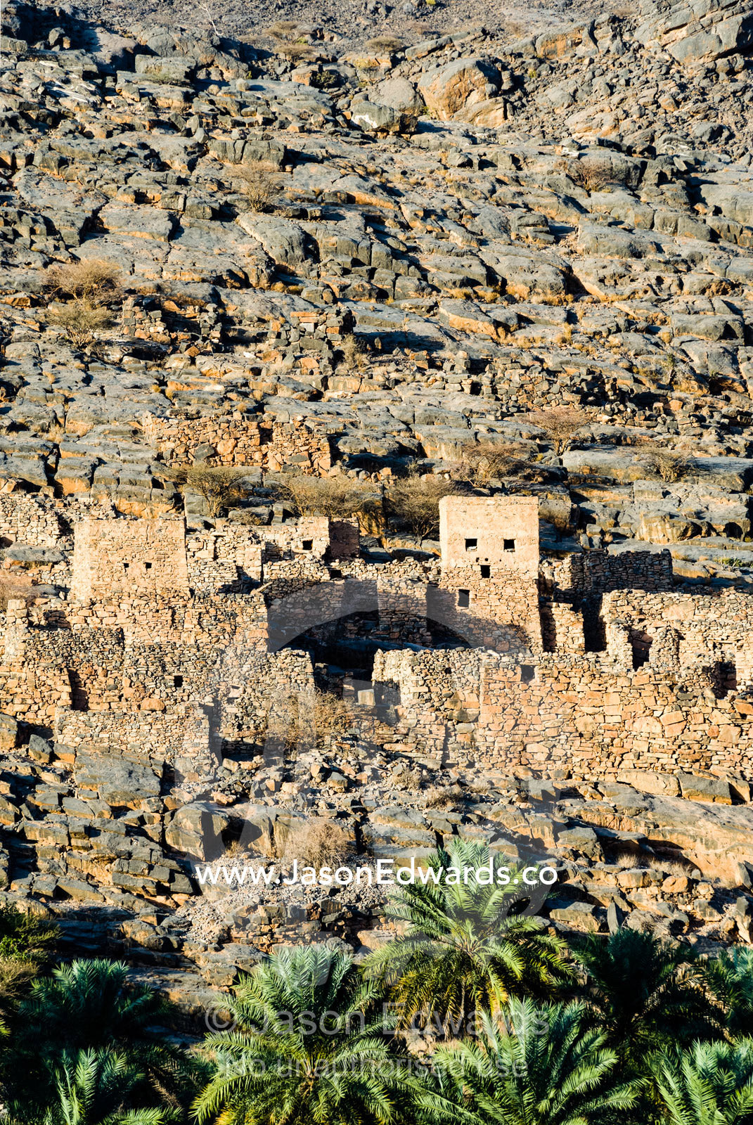 An ancient abandoned stone village on a desert mountainside above an irrigated Date Palm plantation. Wadi Nakhar, Al Hamra, Ad Dakhiliyah Region, Sultanate of Oman.
