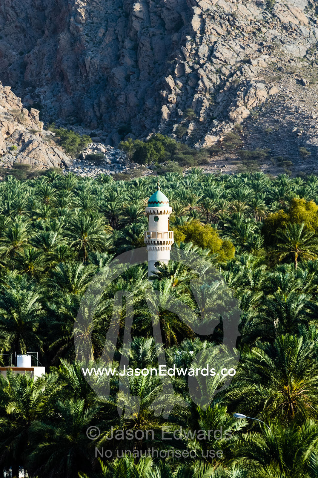The minaret of a mosque rises above a plantation of date palm trees. Wilayt Nakhal, Mount Nakhal, Al Batinah South Governorate, Sultanate of Oman.