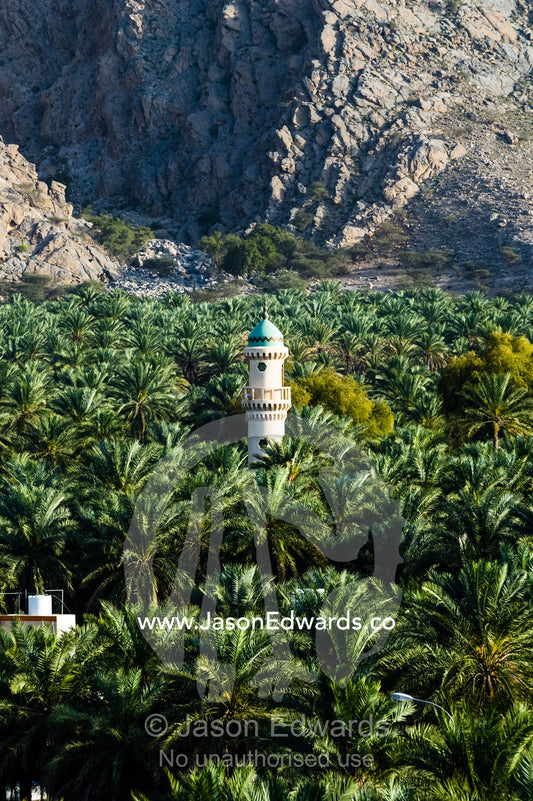 The minaret of a mosque rises above a plantation of date palm trees. Wilayt Nakhal, Mount Nakhal, Al Batinah South Governorate, Sultanate of Oman.