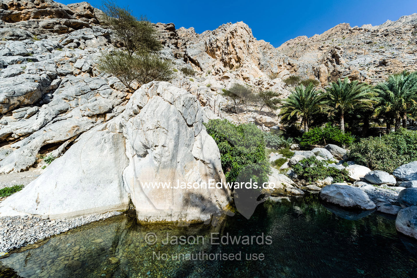 A spring fed oasis of a freshwater pool in a desert gorge. Al Thowarah Hot Springs, Sultanate of Oman.