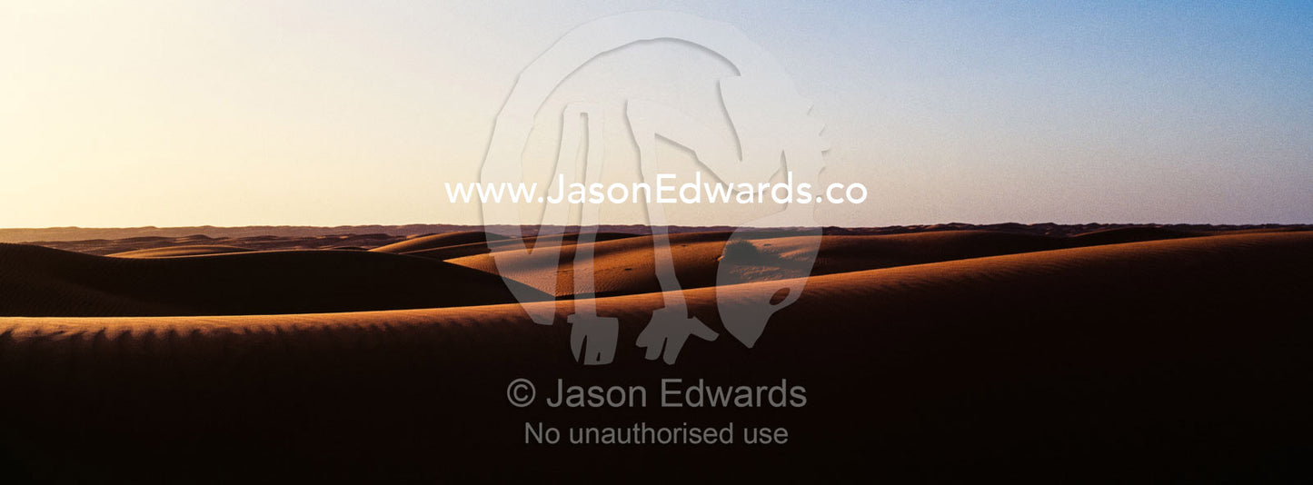 Sunset shines on sand dunes in the desert. Wahiba Sands, Ramlat al-Wahiba, Sharqiya Sands, Sultanate of Oman.