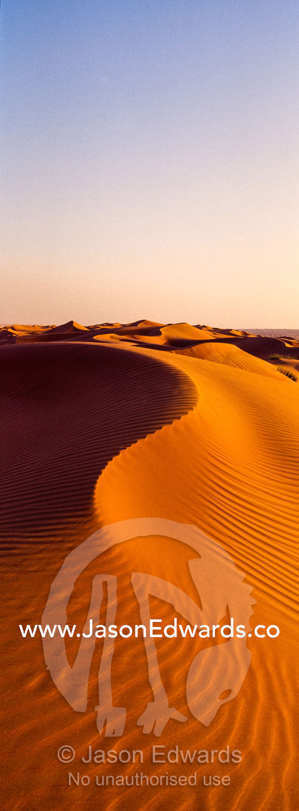 Sunset shines on sand dunes in the desert. Wahiba Sands, Ramlat al-Wahiba, Sharqiya Sands, Sultanate of Oman.