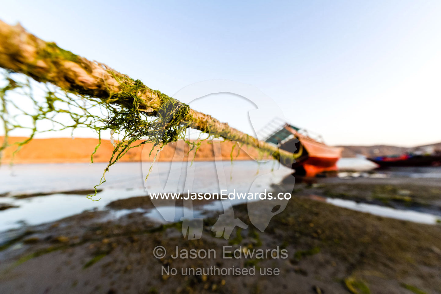 Seaweed hangs from guide ropes restraining a dhow resting in the mud on a beach at low tide. Sur, Ash Sharqiyah Region, Gulf of Oman, Sultanate of Oman.