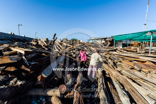 Laborers choose timber the handmade construction of an ancient timber dhow in a ship building yard. Sur, Ash Sharqiyah Region, Gulf of Oman, Sultanate of Oman.