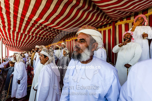 Muslim elders watch camel races from the shade of a striped tented pavilion. Bidiya, Sharqiya Region, Sultanate of Oman.