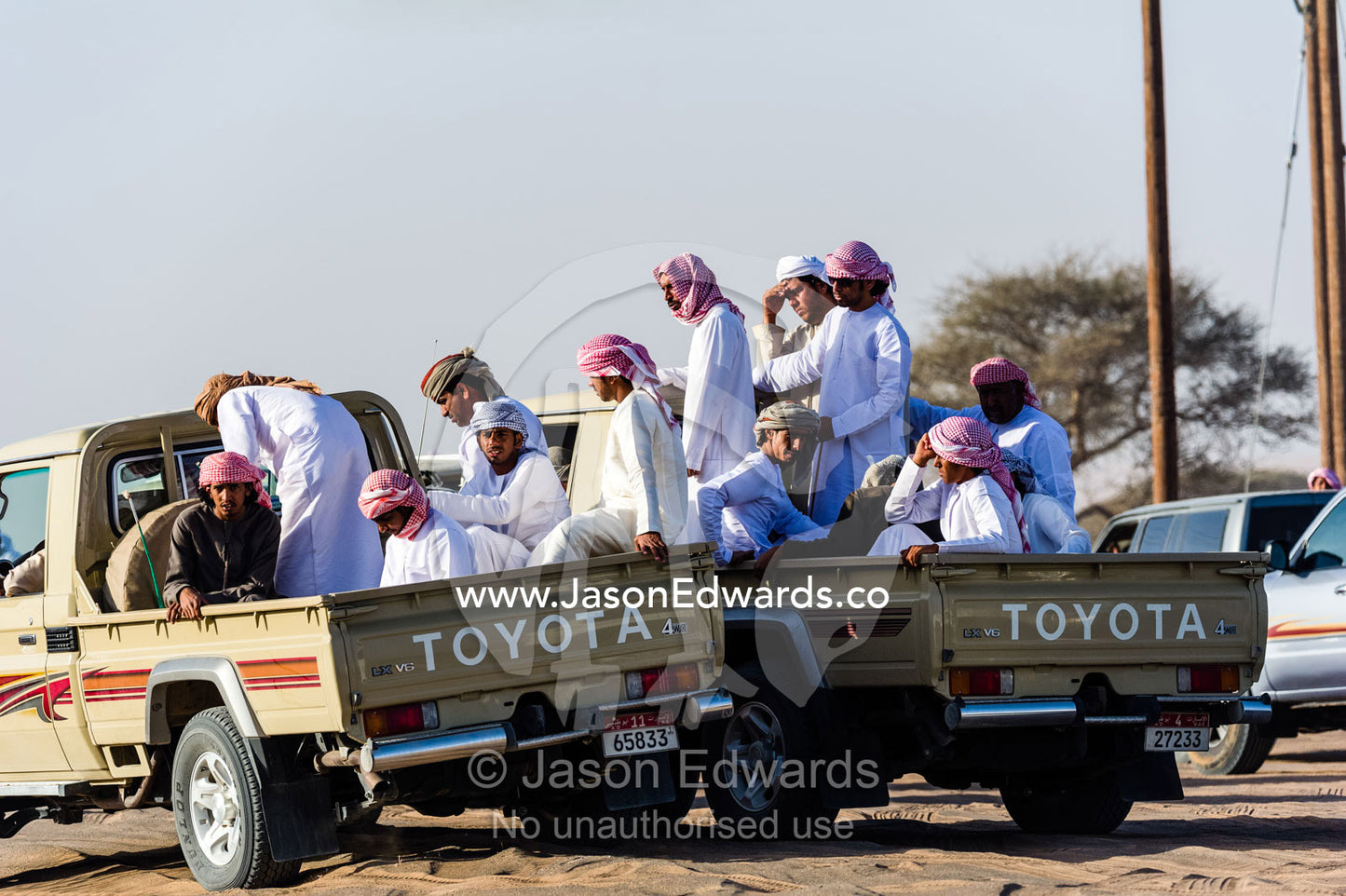 Muslim men gather in the back of 4WD vehicles to follow the camels as they race on a desert track. Bidiya, Sharqiya Region, Sultanate of Oman.