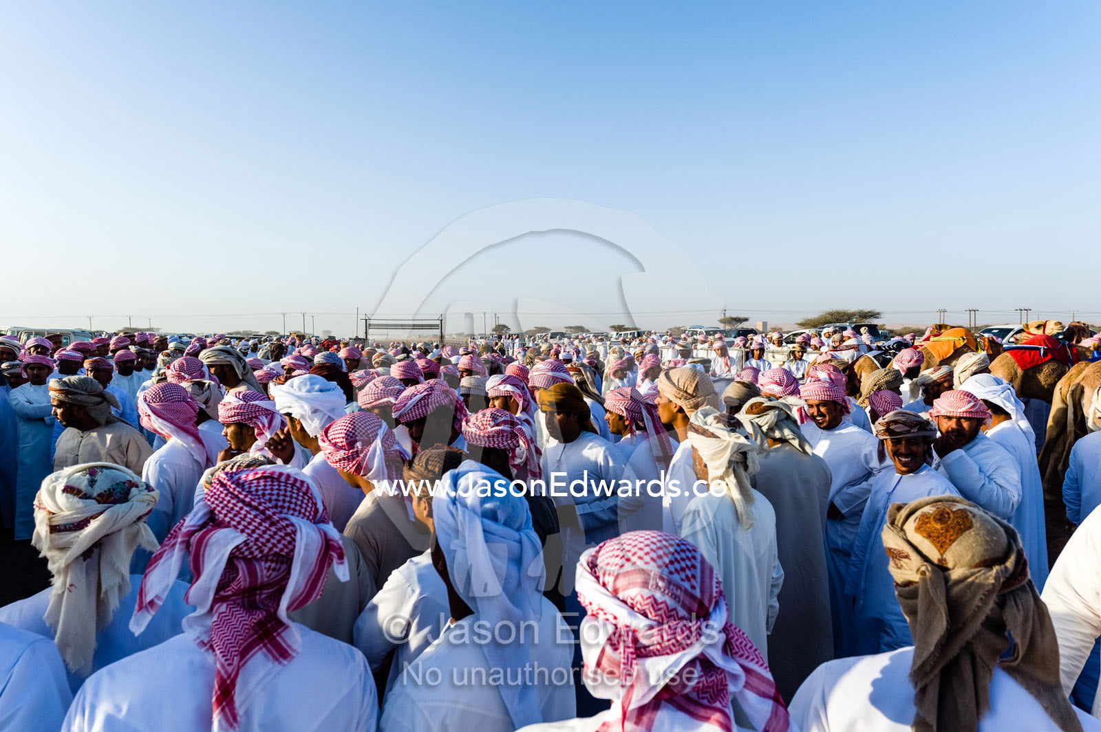 A large crowd of Muslim men wearing dishdasha and masar gather to watch camel races. Bidiya, Sharqiya Region, Sultanate of Oman.
