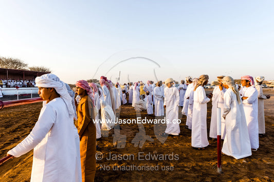 A crowd of Muslim men and boys wearing dishdasha and masar gather to watch camel races. Bidiya, Sharqiya Region, Sultanate of Oman.
