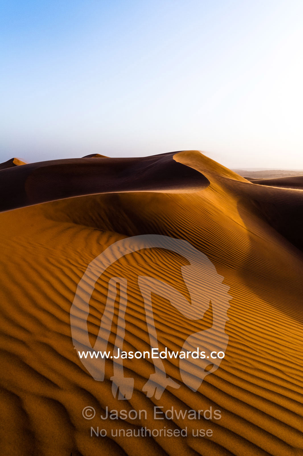 Windblown ripples and sand patterns on the surface of a red sand dune at sunset. Wahiba Sands, Ramlat al-Wahiba, Sharqiya Sands, Sultanate of Oman.
