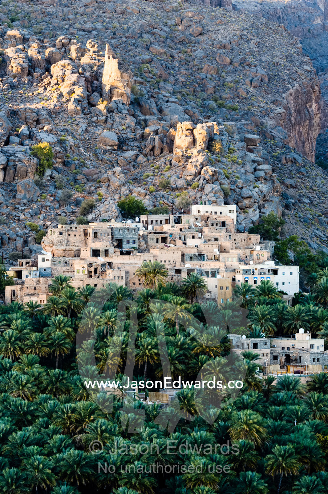 An ancient mud brick village on a desert gorge mountainside surrounded by palm trees. Misfat Al Abryeen, Al Hajar Mountains, Al Hamra, Ad Dakhiliyah Region, Sultanate of Oman.