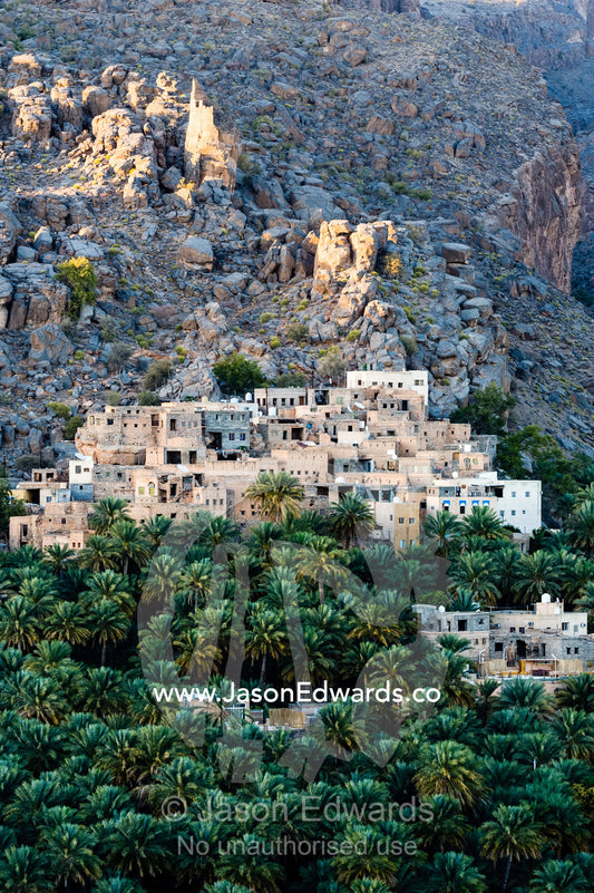 An ancient mud brick village on a desert gorge mountainside surrounded by palm trees. Misfat Al Abryeen, Al Hajar Mountains, Al Hamra, Ad Dakhiliyah Region, Sultanate of Oman.
