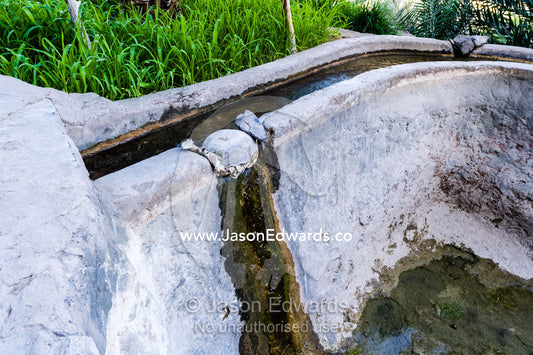 A rock used as a plug to stop water from a mountain spring running down a falaj in an ancient village. Misfat Al Abryeen, Al Hajar Mountains, Al Hamra, Ad Dakhiliyah Region, Sultanate of Oman.