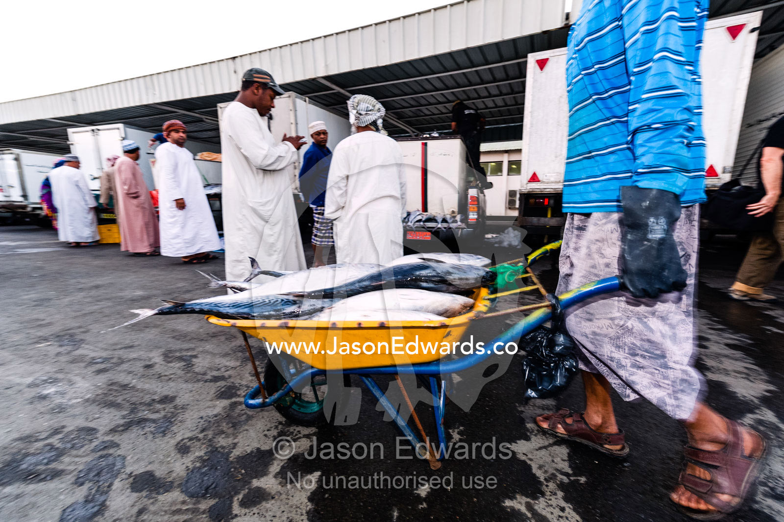 A wheelbarrow full of King Fish being wheeled around a fish market by a laborer. Mutrah Fish Market, Muscat, Gulf of Oman, Sultanate of Oman.