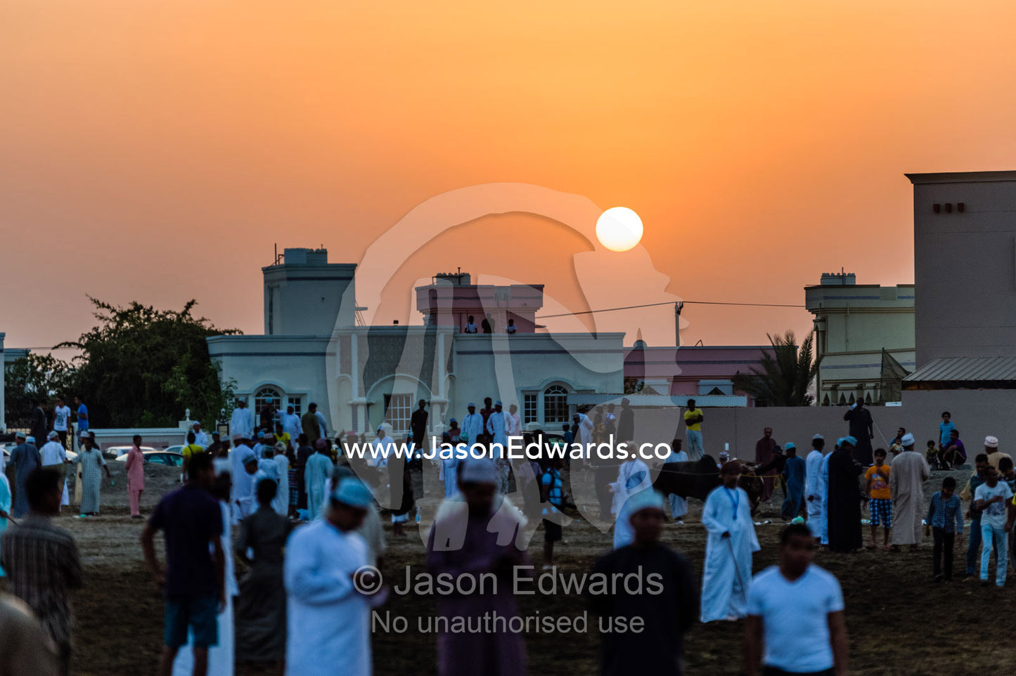 A crowd of men gather on a bull ring at sunset after the days matches. Al Sharadi, Seeb, Muscat, Sultanate of Oman.