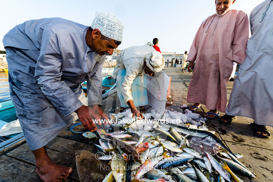 Muslim men sort the mornings catch of fish on a jetty for sale at a local market. Mutrah Fish Market, Muscat, Gulf of Oman, Sultanate of Oman.