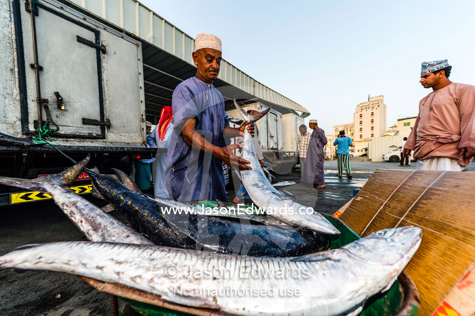 A vendor loads King Fish into a wheelbarrow for sale at a fish market. Mutrah Fish Market, Muscat, Gulf of Oman, Sultanate of Oman.