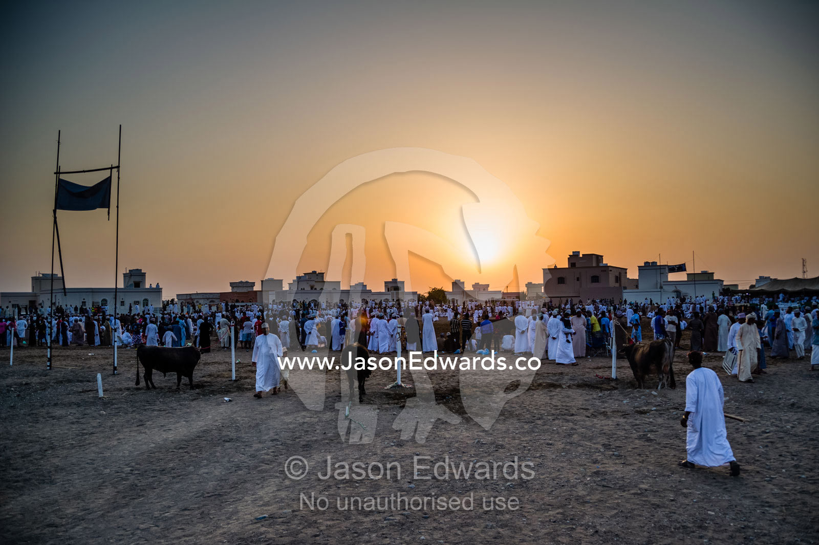 A crowd of men gather on a bull ring at sunset after the days matches. Al Sharadi, Seeb, Muscat, Sultanate of Oman.