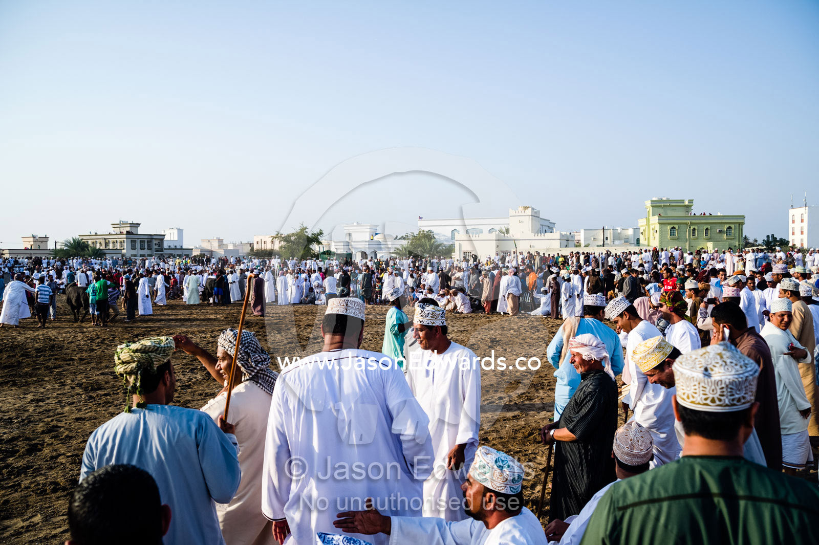 A spectators scatter on a bull ring after a Brahman bull stampeded through the crowd. Al Sharadi, Seeb, Muscat, Sultanate of Oman.