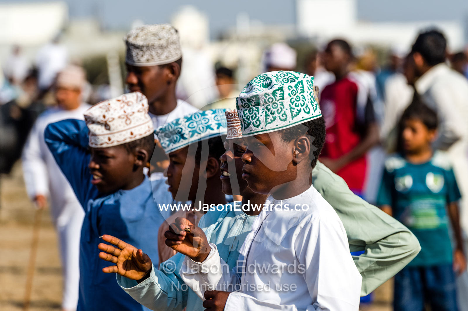 Muslim boys wearing traditional dishdasha and kuma examine bulls waiting to do battle in the ring. Al Sharadi, Seeb, Muscat, Sultanate of Oman.