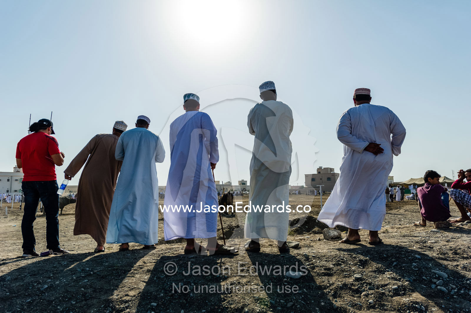 Muslim men wearing dishdasha and kuma watching a traditional bull fight. Al Sharadi, Seeb, Muscat, Sultanate of Oman.