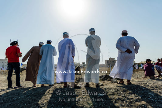 Muslim men wearing dishdasha and kuma watching a traditional bull fight. Al Sharadi, Seeb, Muscat, Sultanate of Oman.