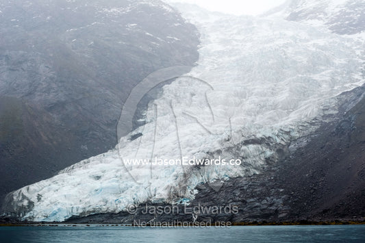 A jagged glacier tongue recedes up and rugged and inhospitable mountain gorge in a fiord. Fjord of Eternity, Maniitsoq, Sukkertoppen, Qeqqata Municipality, Greenland.