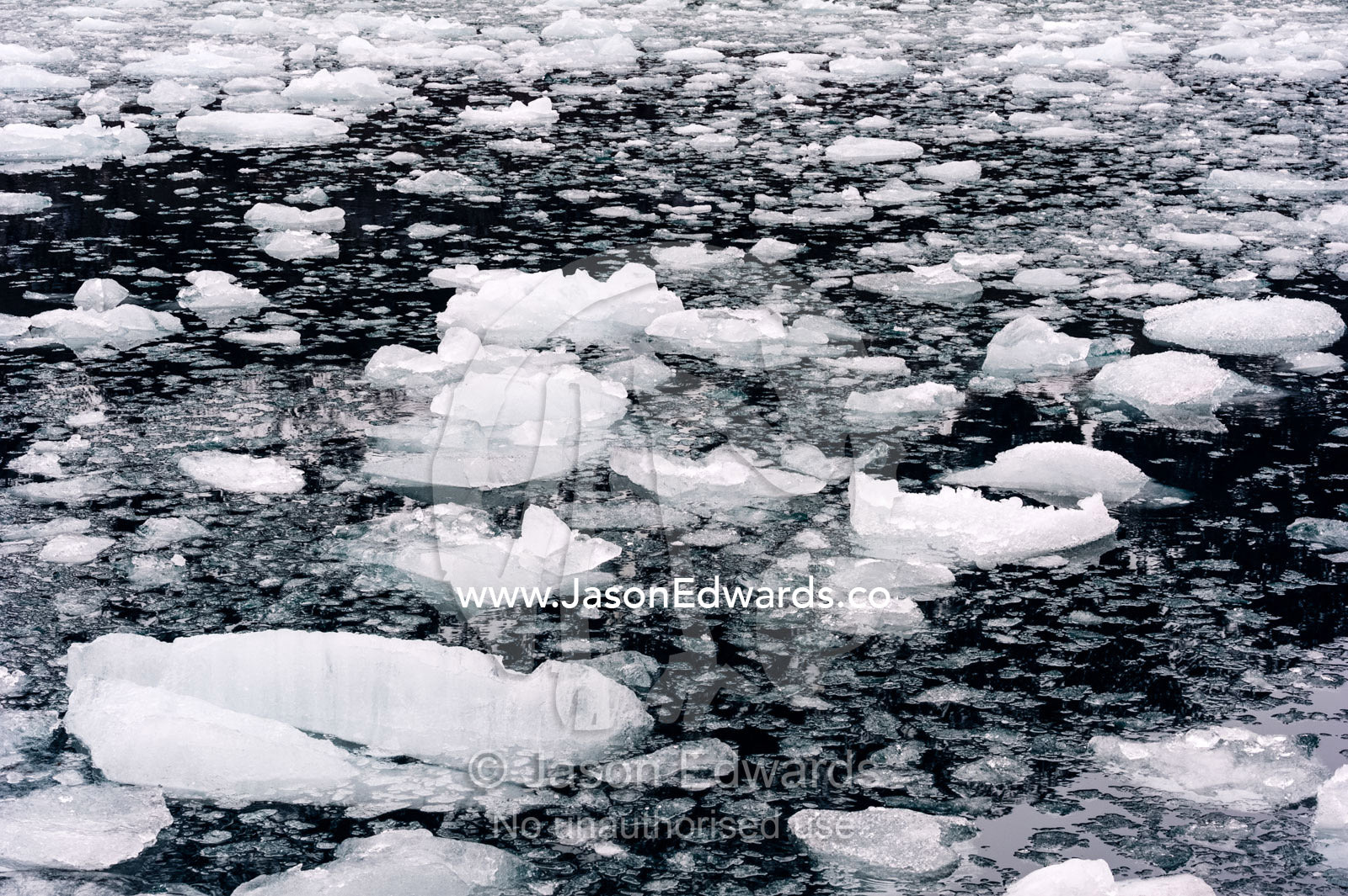 Crushed ice from a glacier fall floating on the ocean surface in a fiord. Fjord of Eternity, Maniitsoq, Sukkertoppen, Qeqqata Municipality, Greenland.