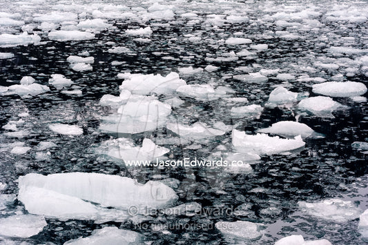 Crushed ice from a glacier fall floating on the ocean surface in a fiord. Fjord of Eternity, Maniitsoq, Sukkertoppen, Qeqqata Municipality, Greenland.