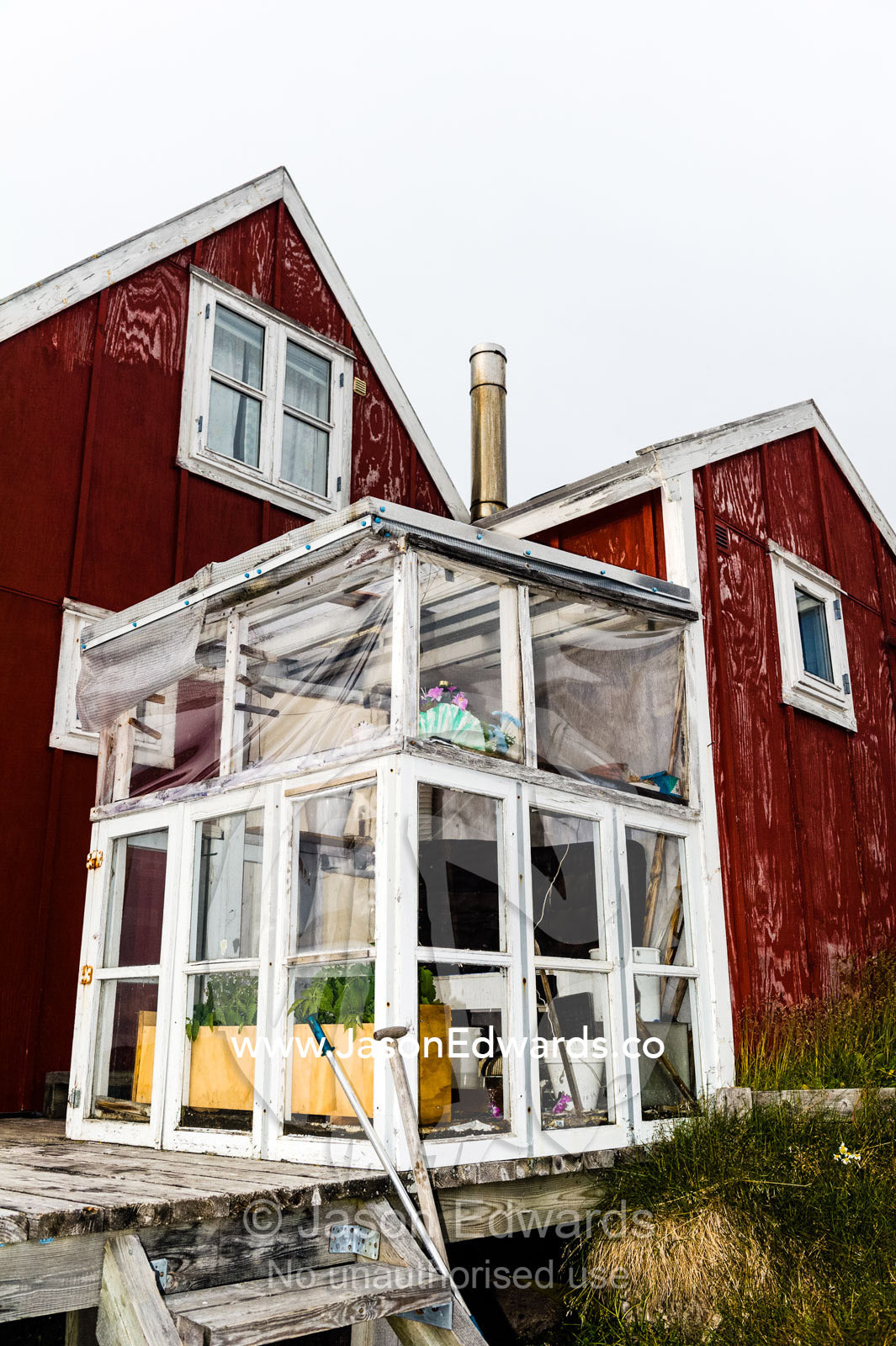 A glasshouse provides shelter to plants in an Arctic village. Kangaamiut, Gammel Sukkertoppen, Qeqqata Municipality, Greenland.