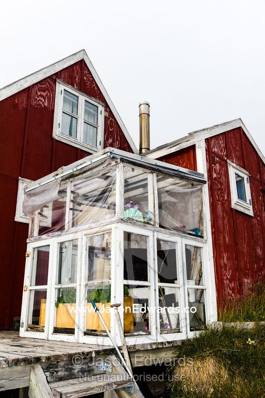 A glasshouse provides shelter to plants in an Arctic village. Kangaamiut, Gammel Sukkertoppen, Qeqqata Municipality, Greenland.