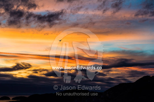 Orange hues predominate an altostratus cloudscape at sunset. Kangaamiut, Gammel Sukkertoppen, Qeqqata Municipality, Greenland.