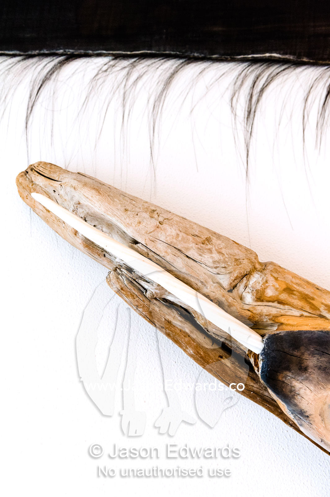 An antique Narwhal ivory tusk and whale baleen on display in a modern Greenlander home. Kangaamiut, Gammel Sukkertoppen, Qeqqata Municipality, Greenland.