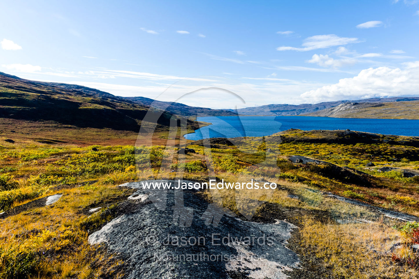Rocky outcrops emerge through the tundra surrounding an alpine lake. Tasersuatsiaq Lake, Kangerlussuaq, Qeqqata Municipality, Greenland.