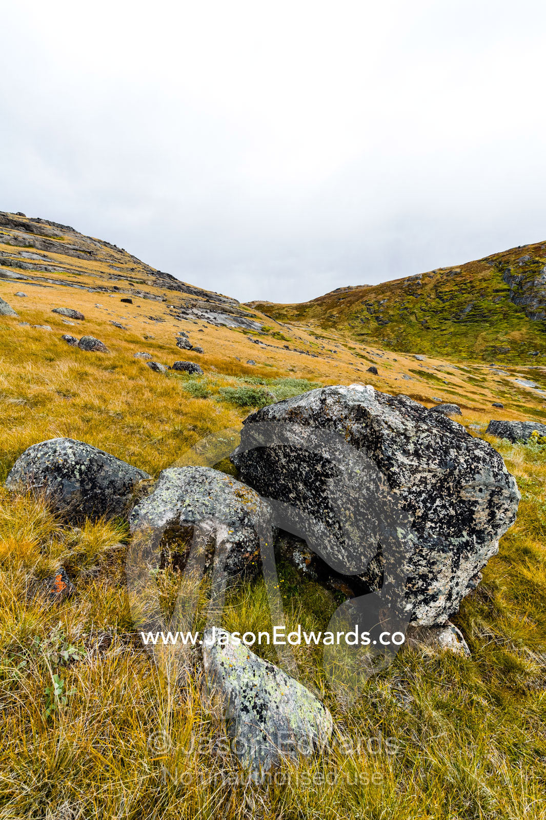 Lichen covered boulders on a windswept tundra. Ammalortup Nunaa Highland, Kangerlussuaq, Qeqqata Municipality, Greenland.