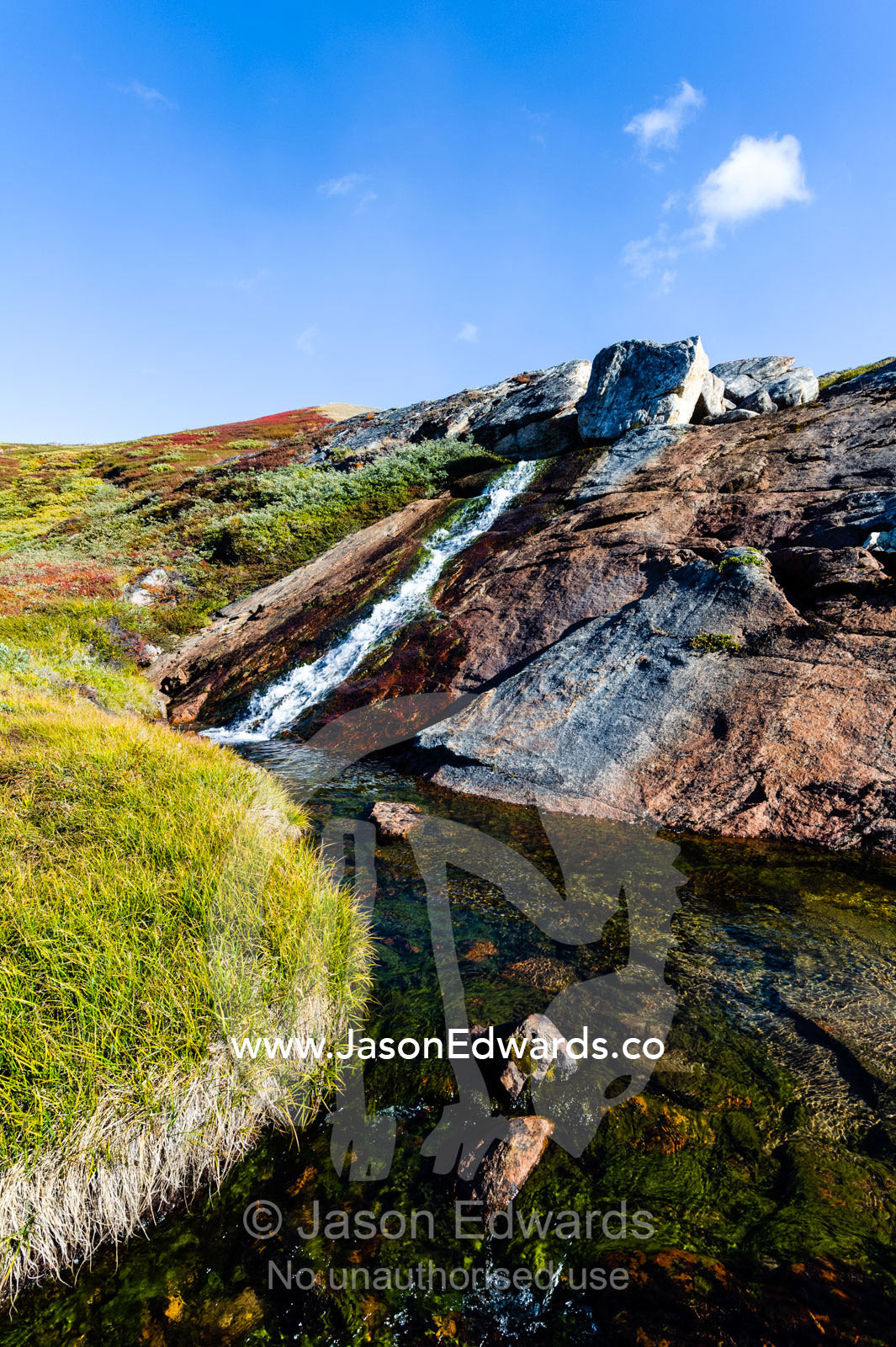 A small waterfall cascades down a rock face on the tundra. Ammalortup Nunaa Highland, Kangerlussuaq, Qeqqata Municipality, Greenland.