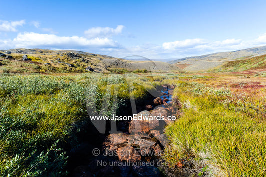 A small stream dissects a tundra plain and grassland. Ammalortup Nunaa Highland, Kangerlussuaq, Qeqqata Municipality, Greenland.