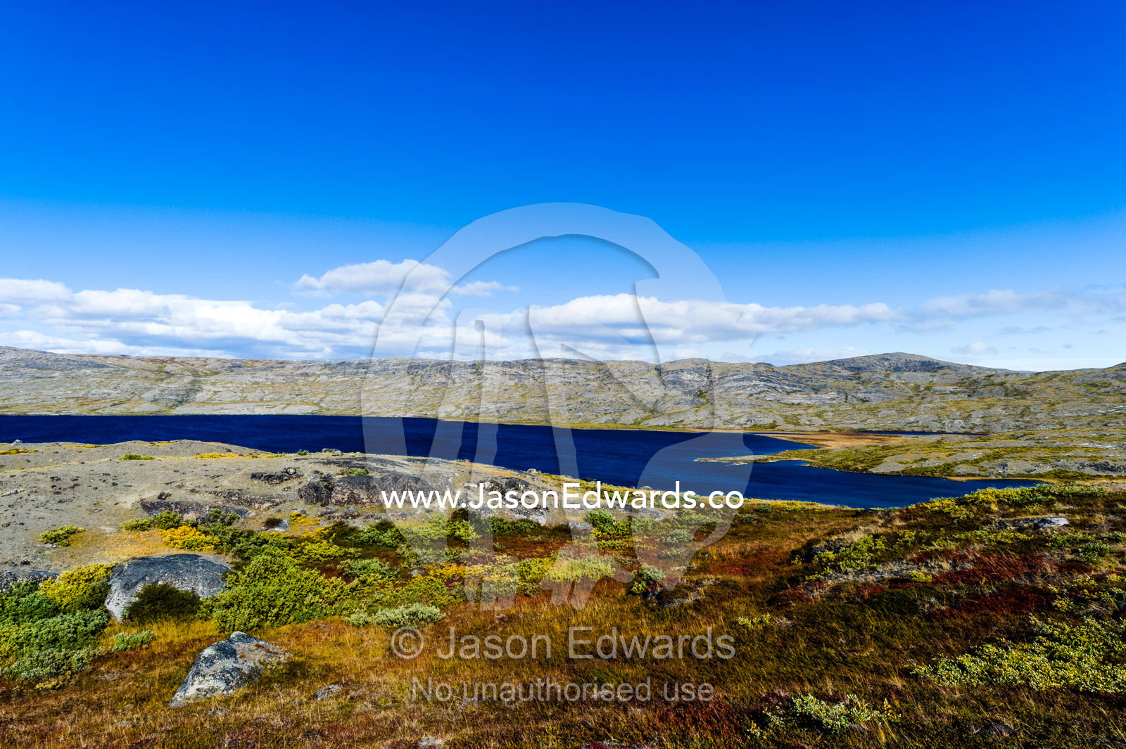 An alpine lake surrounded by barren mountains and lush tundra. Tasersuatsiaq Lake, Kangerlussuaq, Qeqqata Municipality, Greenland.