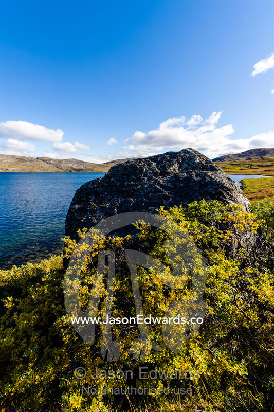 A lichen-covered boulder on the shore of an alpine lake. Tasersuatsiaq Lake, Kangerlussuaq, Qeqqata Municipality, Greenland.